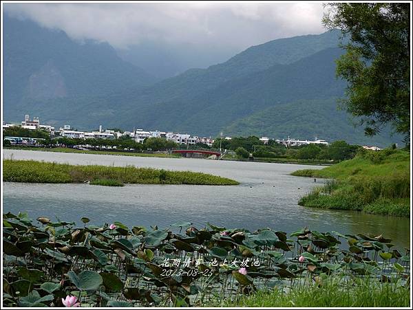 2013-08-池上大坡池23.jpg