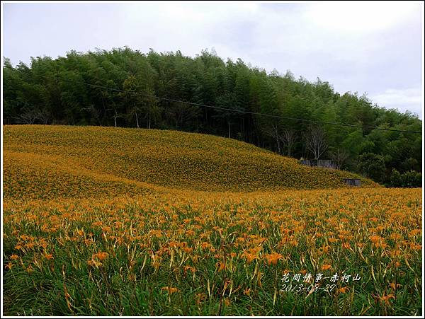 2013-08-赤柯山金針花情32.jpg