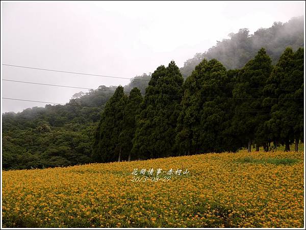 2013-08-赤柯山金針花情53.jpg