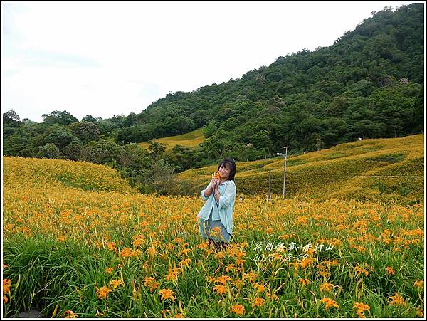 2013-08-赤柯山金針花情62.jpg