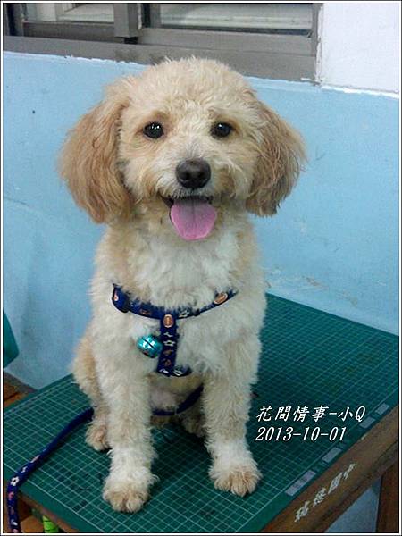 小Q02.jpg 小Q02.jpg