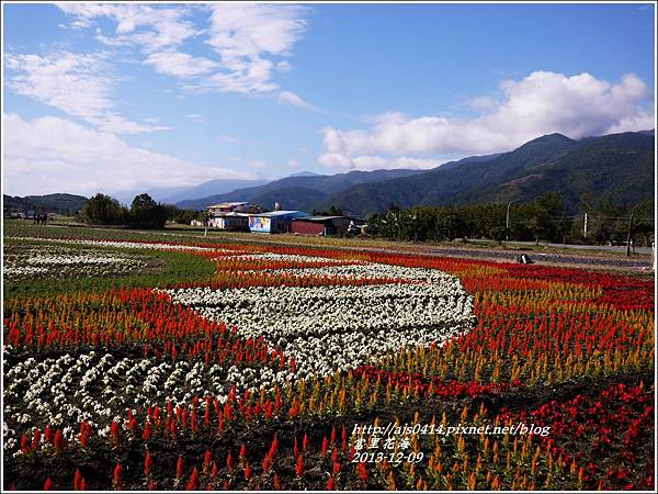 2013-12-富里花海4.jpg
