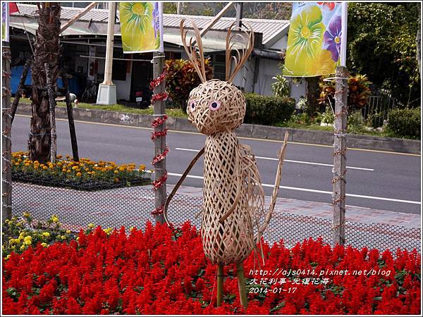 2014-01-大花利事(光復花海)17.jpg