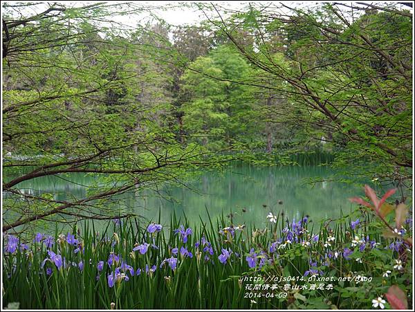 2014-04-雲山水鳶尾季7.jpg