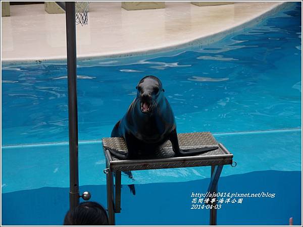 2014-04-花蓮海洋公園16.jpg