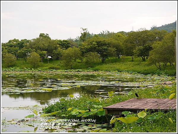 2014-05-池上大坡池17.jpg
