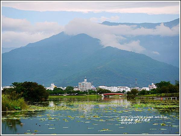 2014-05-池上大坡池31.jpg