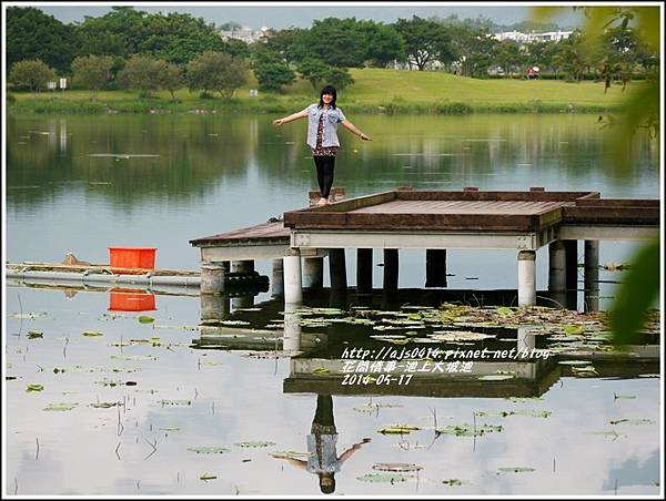 2014-05-池上大坡池37.jpg