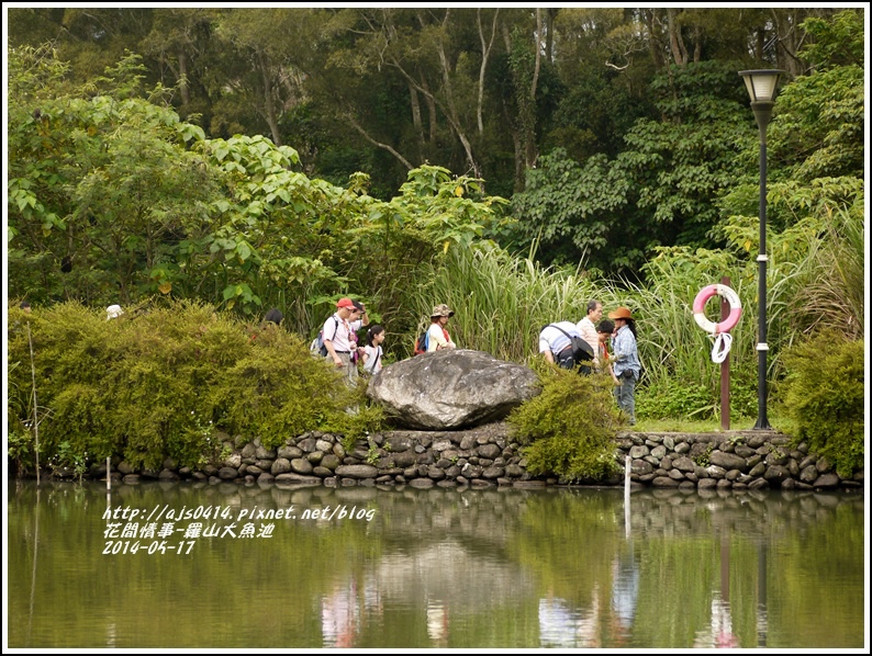 2014-05-羅山大魚池19.jpg