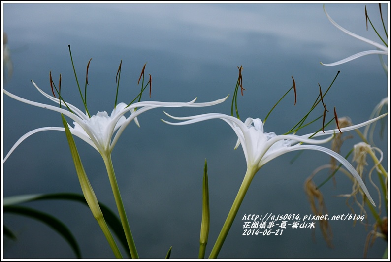 2014-06-夏-雲山水8.jpg