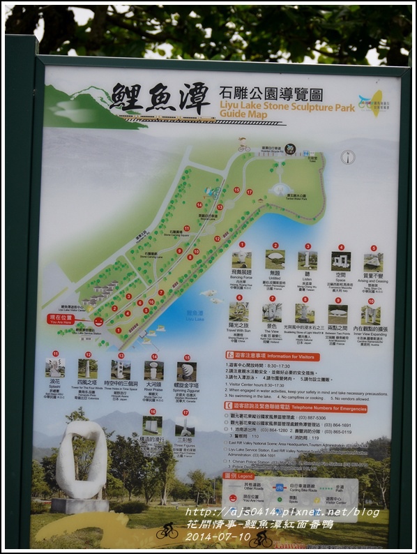 2014-07-鯉魚潭紅面番鴨34.jpg