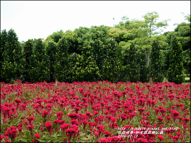 2014-07-知卡宣森林公園27.jpg