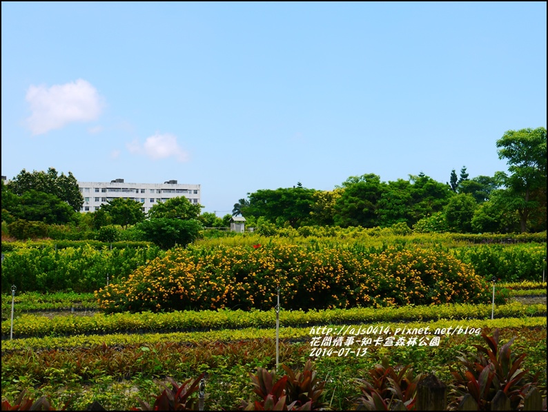 2014-07-知卡宣森林公園29.jpg