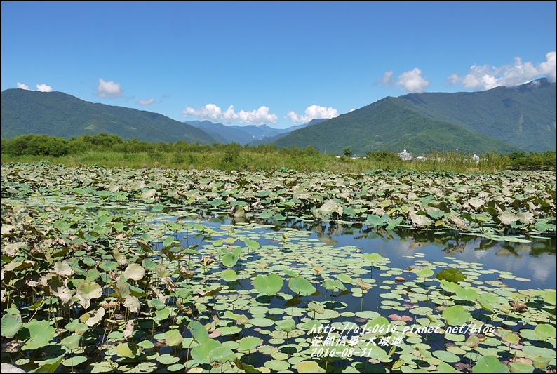 2014-09-池上大坡池6.jpg