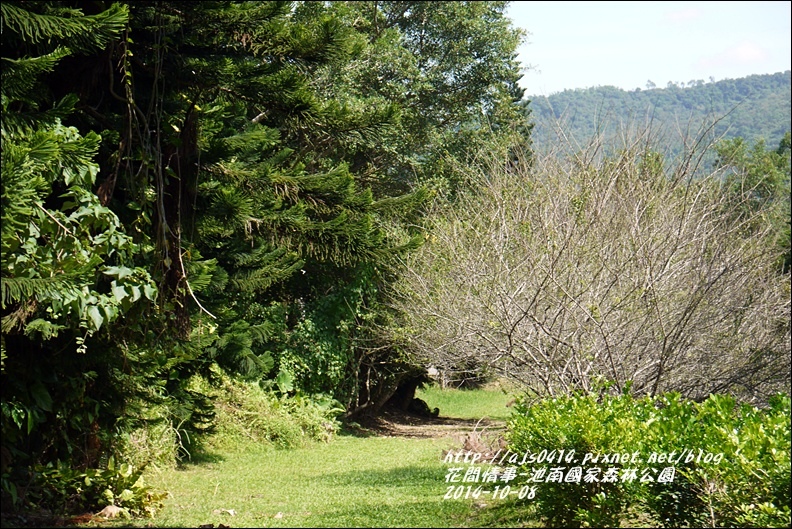 2014-10-池南國家森林公園23.jpg