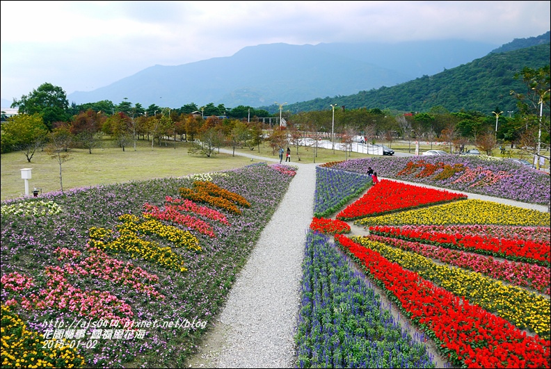 2015-01-國福里花海24.jpg