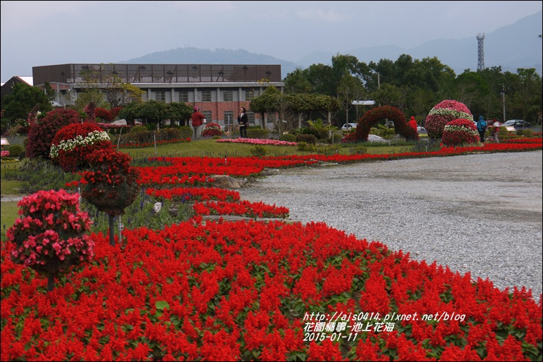 2015-01-池上花海21.jpg