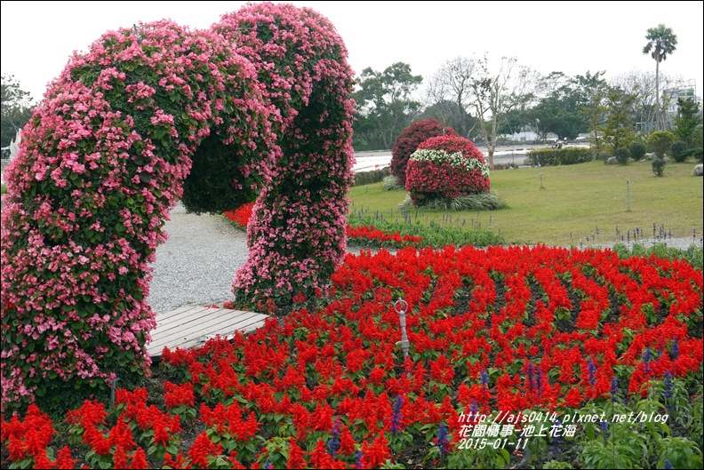 2015-01-池上花海22.jpg