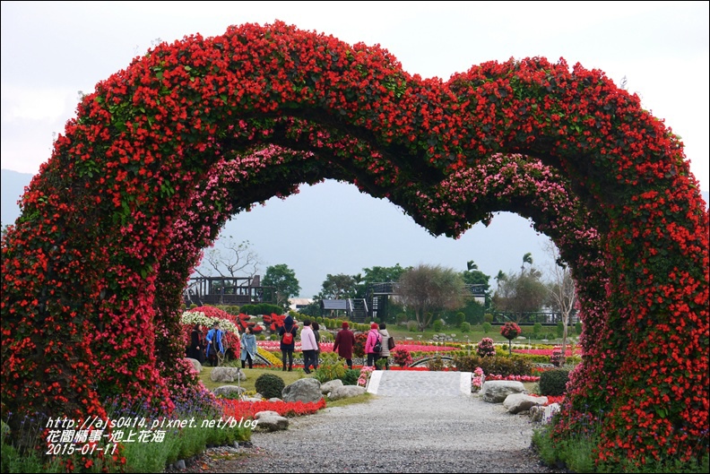 2015-01-池上花海27.jpg