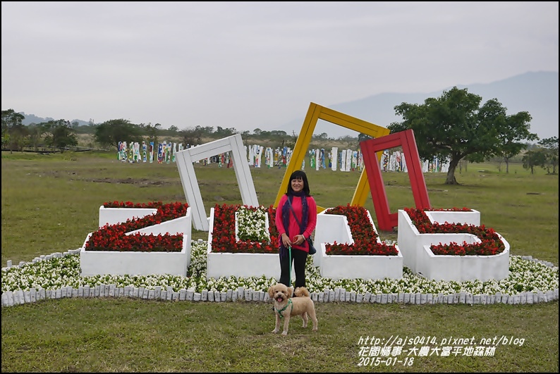 2015-01-大農大富平地森林18.jpg