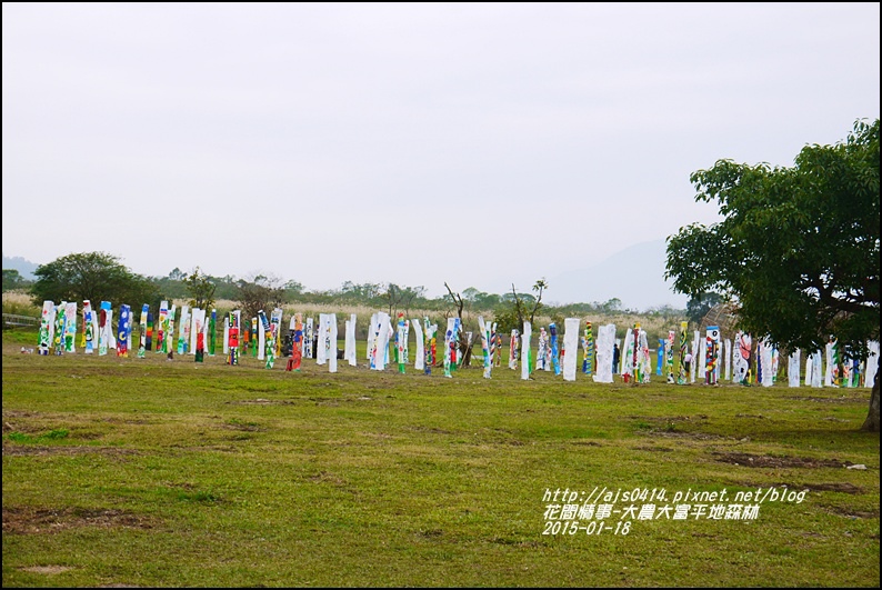 2015-01-大農大富平地森林21.jpg