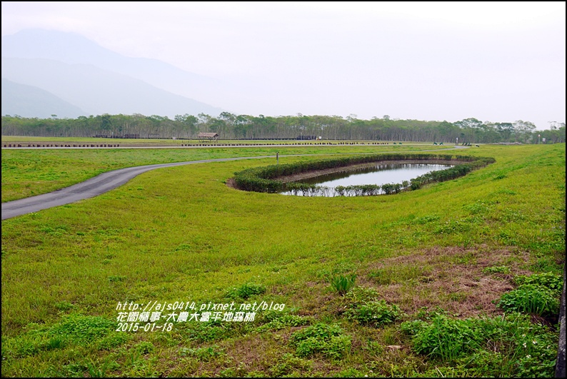 2015-01-大農大富平地森林25.jpg