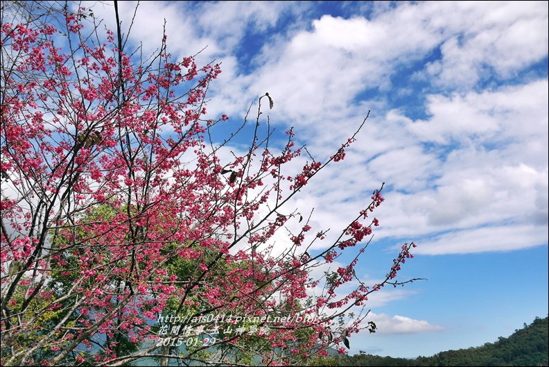 2015-01-玉山神學院18.jpg