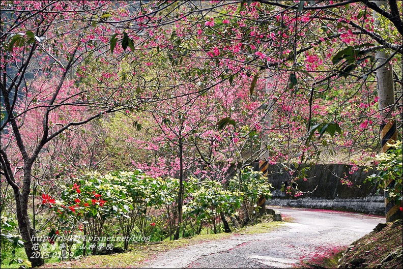 2015-01-玉山神學院23.jpg