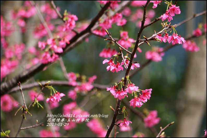 2015-01-玉山神學院26.jpg