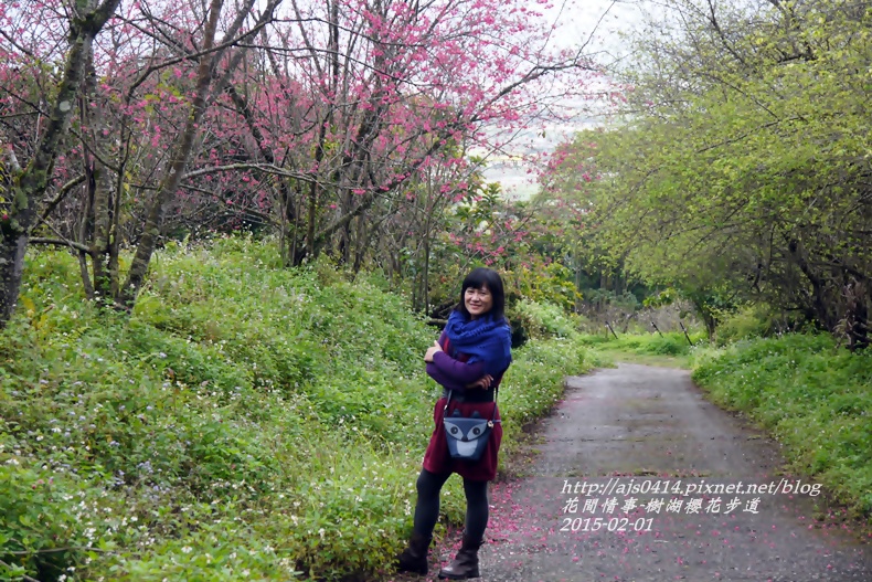 2015-02-樹湖櫻花步道28.jpg