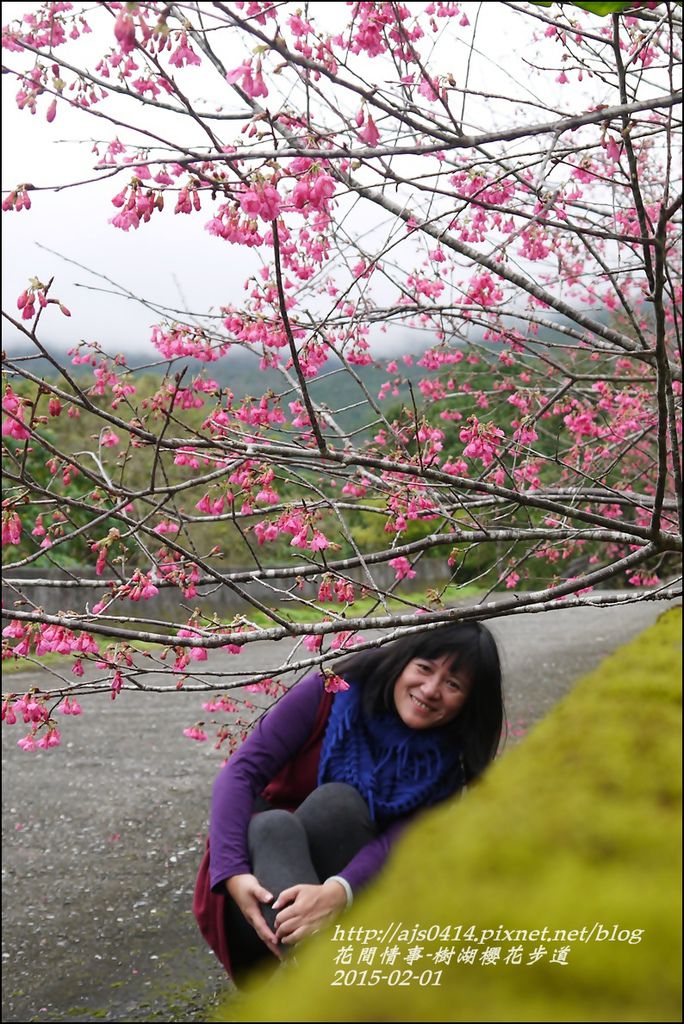 2015-02-樹湖櫻花步道41.jpg