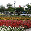 2015-02-光復小花海6.jpg