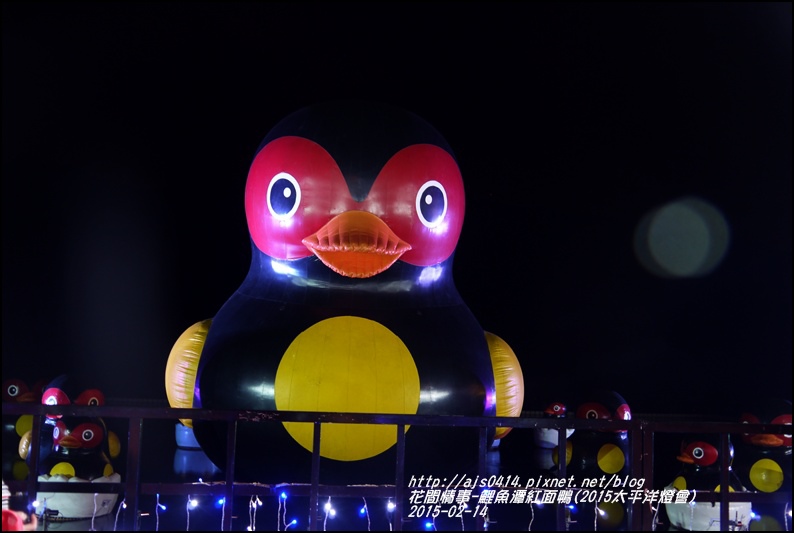 2015-02-鯉魚潭紅面鴨(太平洋燈會)4.jpg