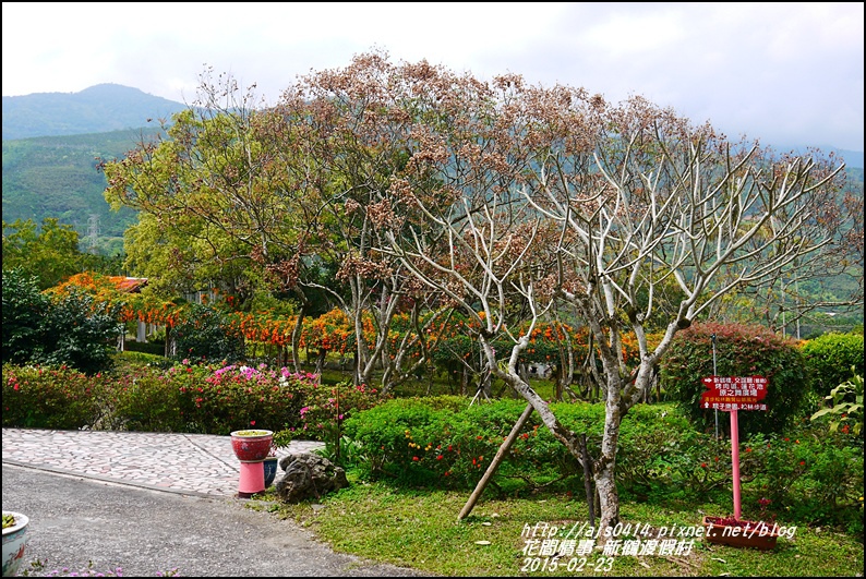 2015-02-新鶴渡假村23.jpg