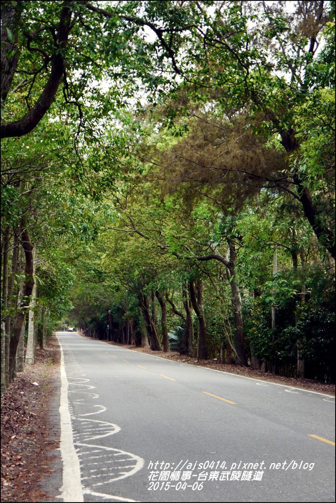 2015-04-台東武陵綠色隧道3.jpg