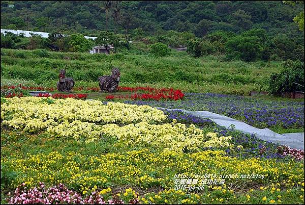 2015-04-成功花海8.jpg