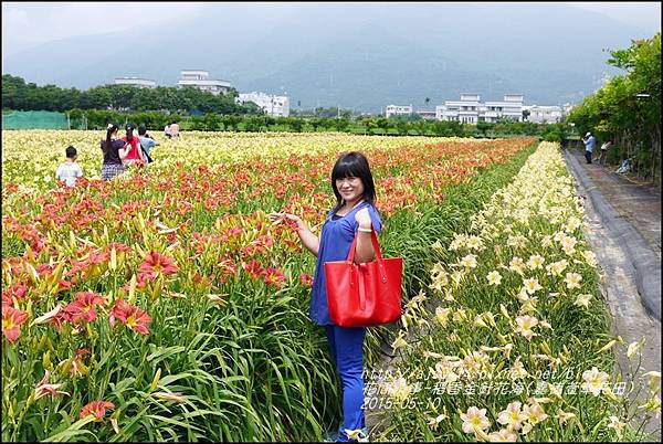 2015-05-嘉德萱草花田(吉安稻香金針花海)23.jpg