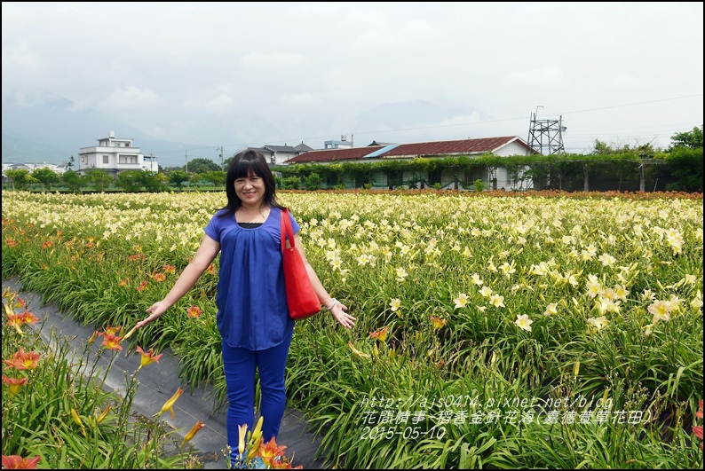 2015-05-嘉德萱草花田(吉安稻香金針花海)29.jpg