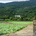 2015-06-馬太鞍荷花池13.jpg