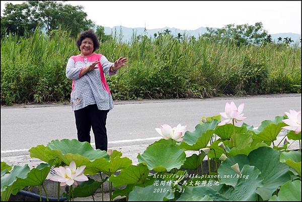 2015-06-馬太鞍荷花池24.jpg