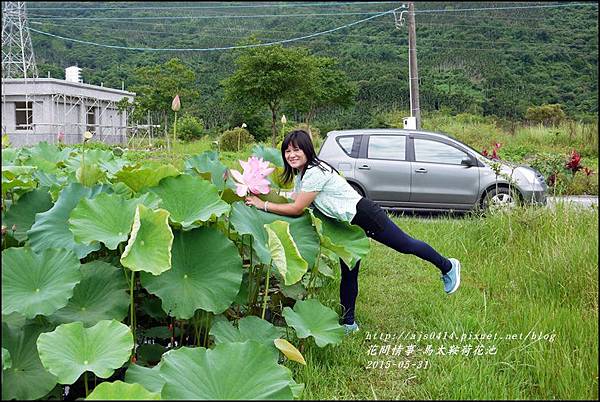 2015-06-馬太鞍荷花池27.jpg