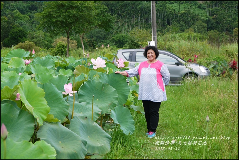 2015-06-馬太鞍荷花池26.jpg