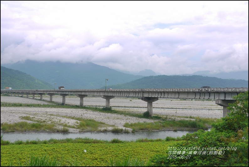 2015-06-高寮河堤(阿勃勒)9.jpg