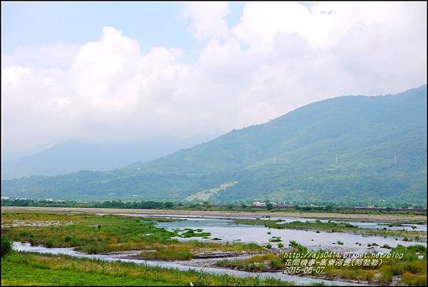 2015-06-高寮河堤(阿勃勒)8.jpg