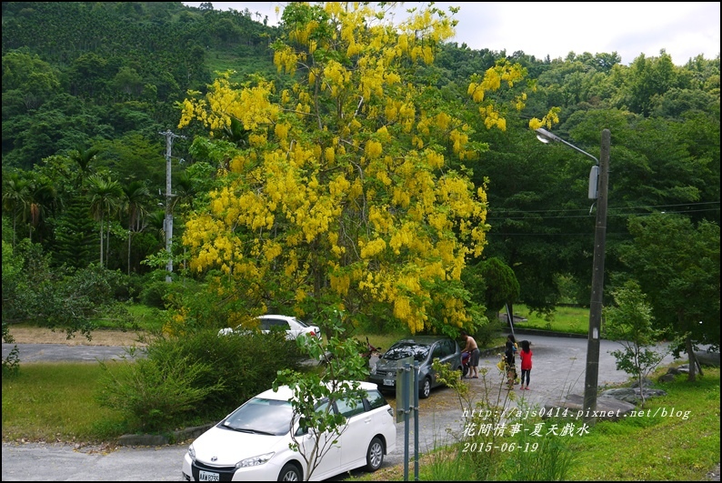 2015-06-夏日戲水7.jpg