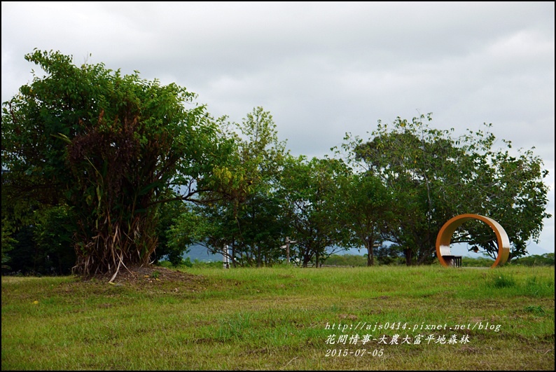 2015-07-大農大富平地森林23.jpg