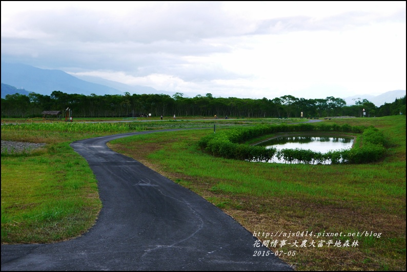 2015-07-大農大富平地森林8.jpg