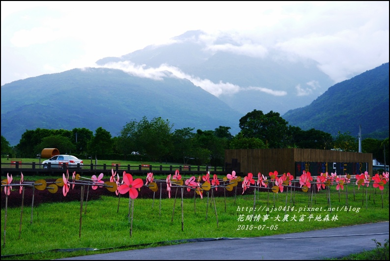 2015-07-大農大富平地森林9.jpg