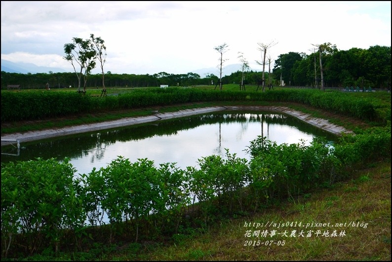 2015-07-大農大富平地森林11.jpg