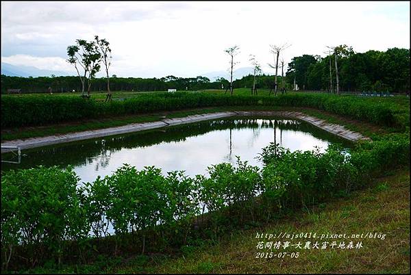 2015-07-大農大富平地森林11.jpg